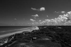 Paysage côtier en noir et blanc